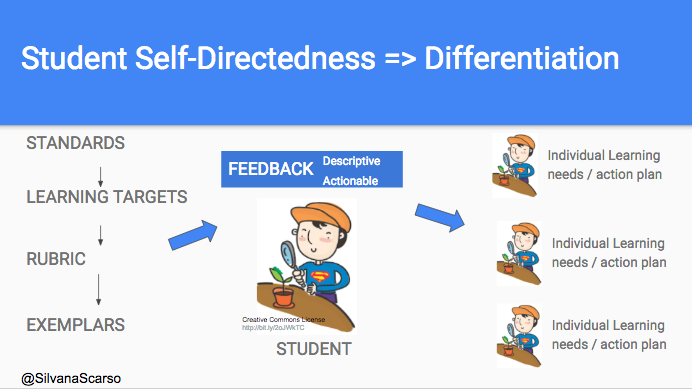 Feedback & Differentiation: How Do They Connect? – Comundo